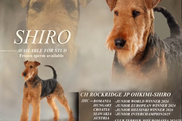 shiro2